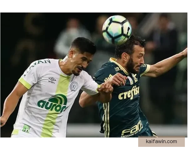 体育竞猜赔率解析：如何通过数据分析提升投注精准度与获胜机会